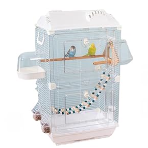 鳥のケージ セット売り chanet_267589